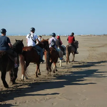 Climatise Proche Avec Terrasse, Park Prive Et Equipements Modernes - Fr-1-307-198 *