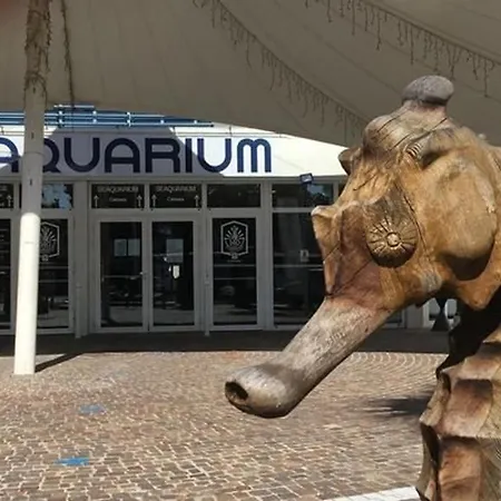 Lejlighed Climatise Proche Avec Terrasse, Park Prive Et Equipements Modernes - Fr-1-307-198